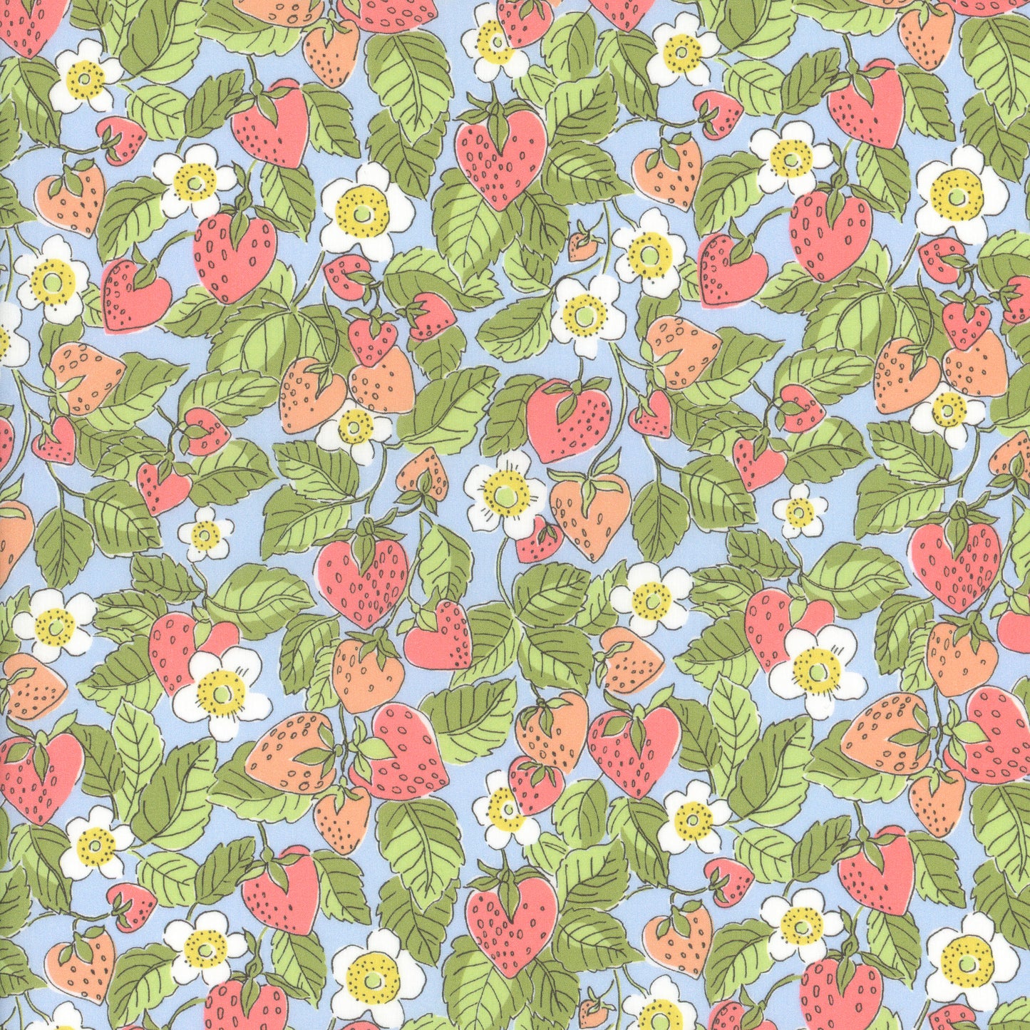 Strawberry Dream (B)