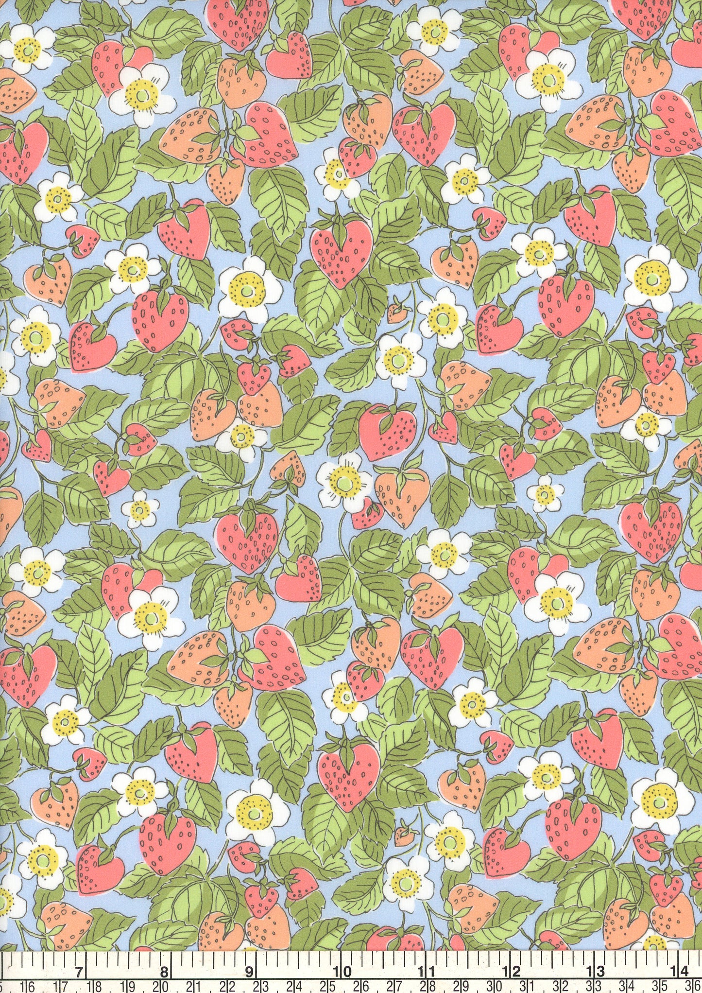 Strawberry Dream (B)