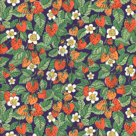 Strawberry Dream (C)