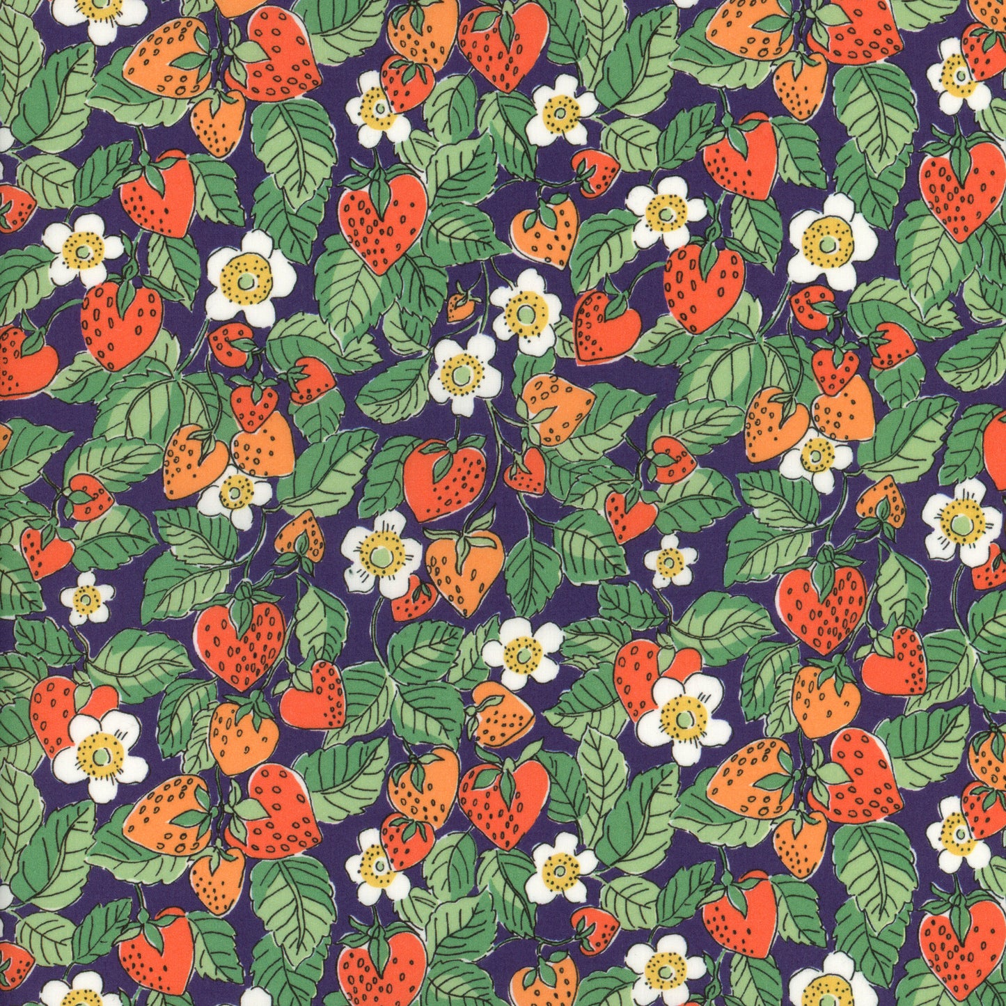 Strawberry Dream (C)