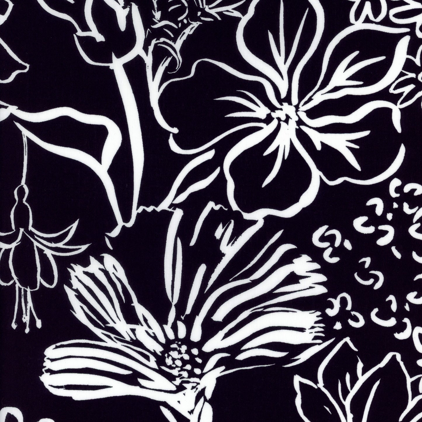 Studio Florals (C)