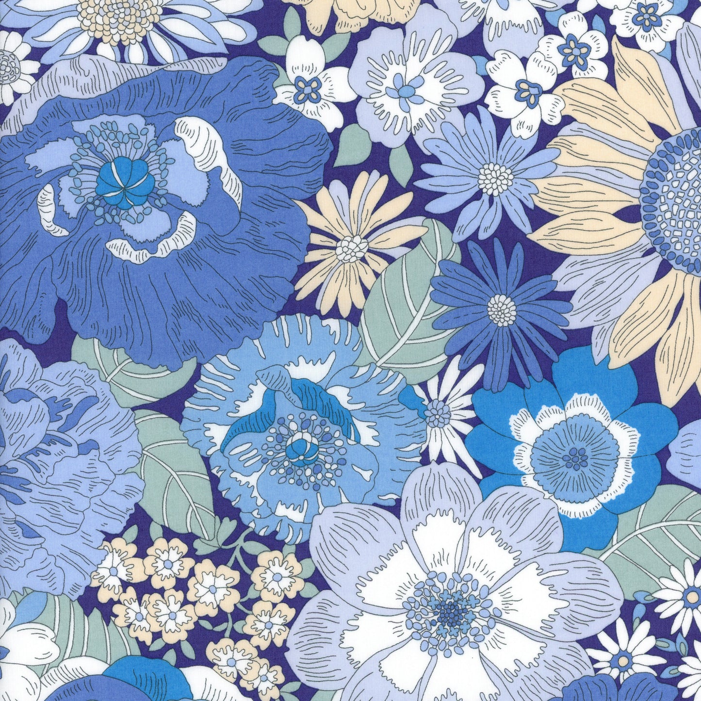 Summers in the Sun (C)