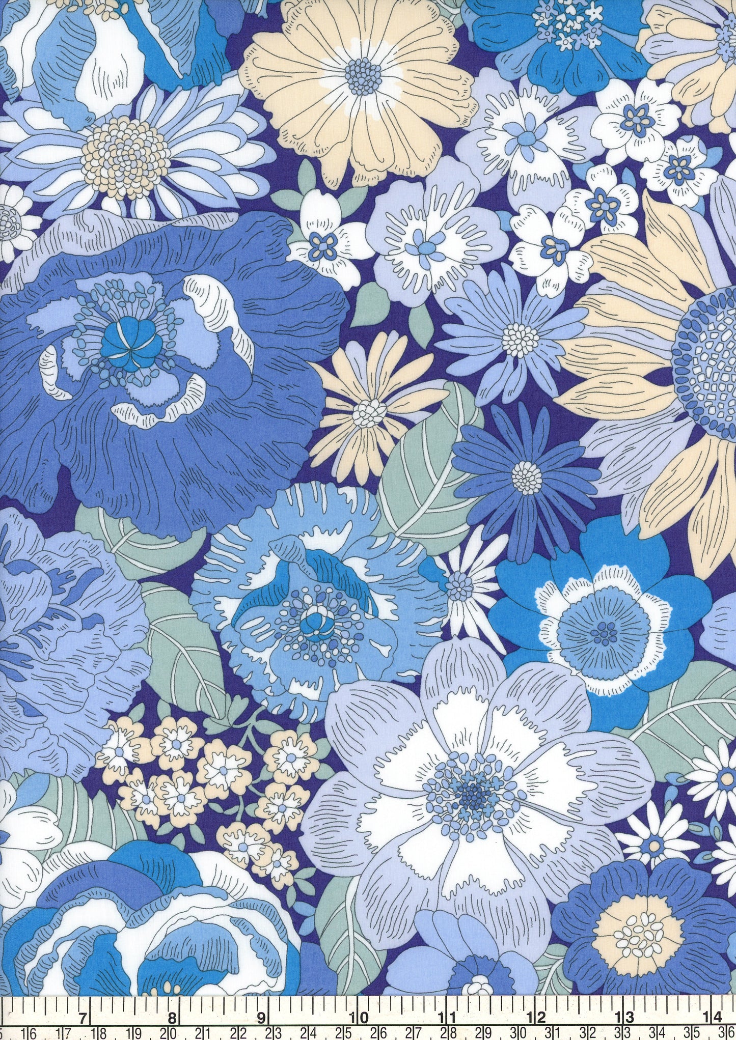 Summers in the Sun (C)