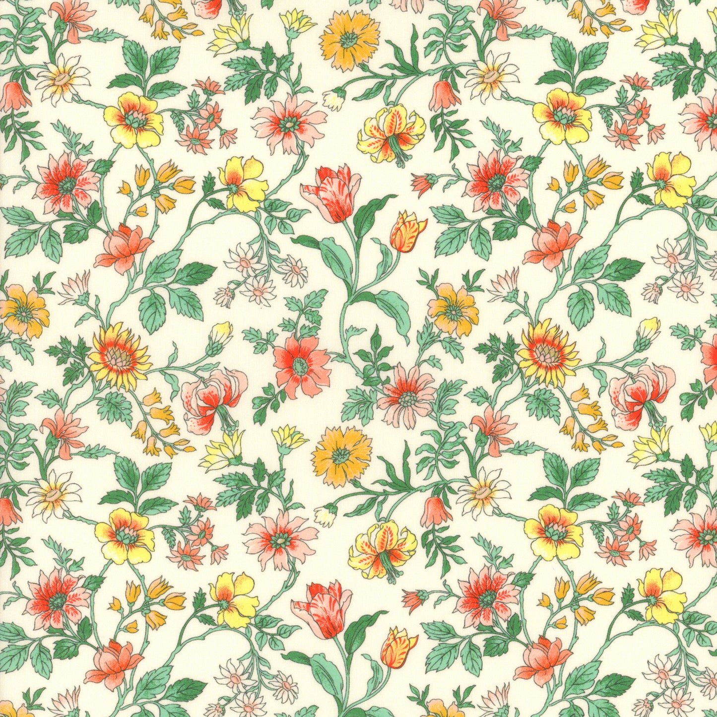 Tiger Lily (U)