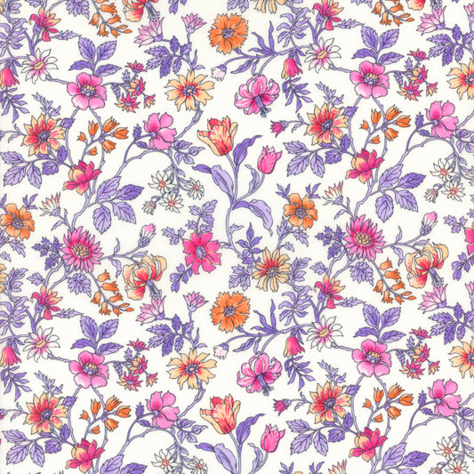 Tiger Lily (Y)