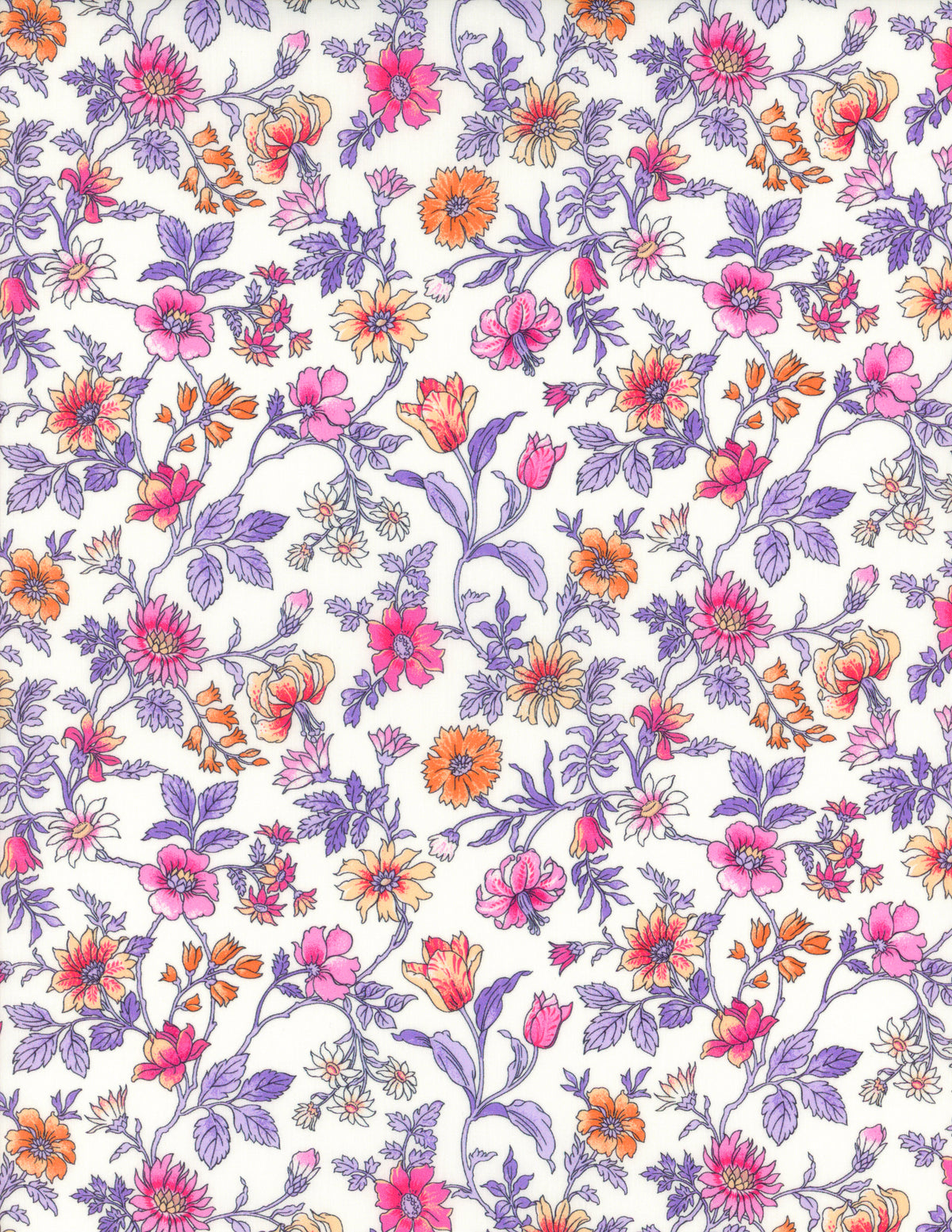 Tiger Lily (Y) *Last of*