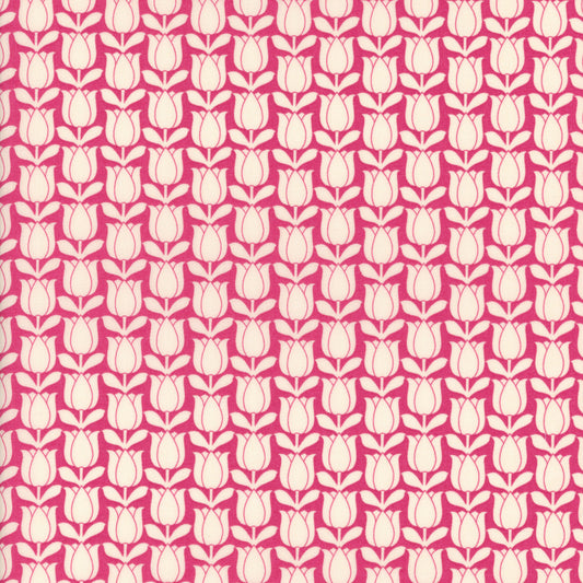 Tulipomania (C)