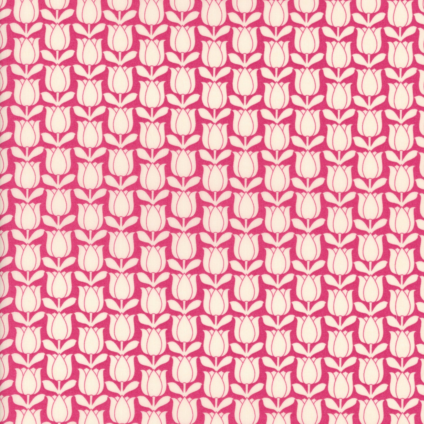Tulipomania (C)