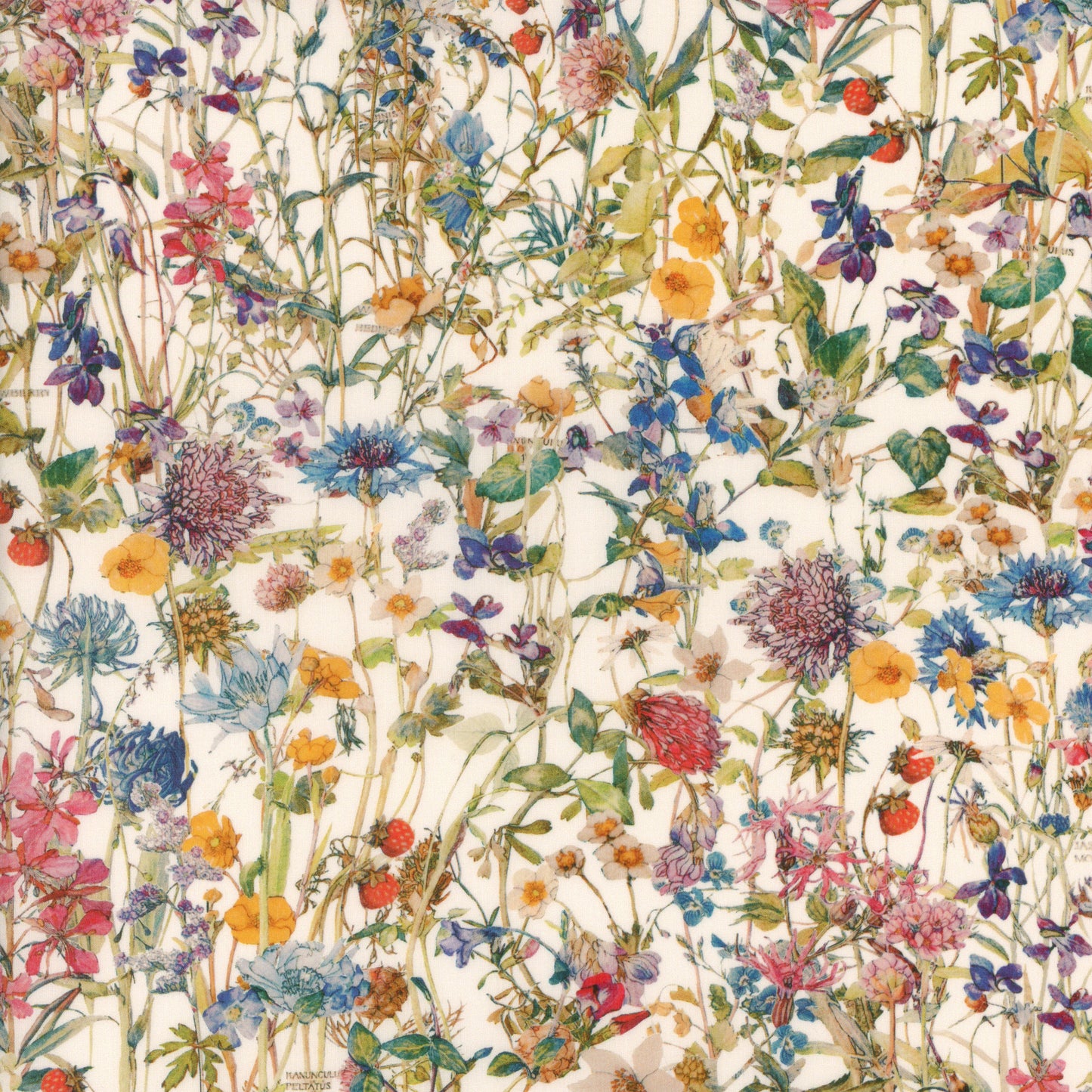 Wild Flowers (H)