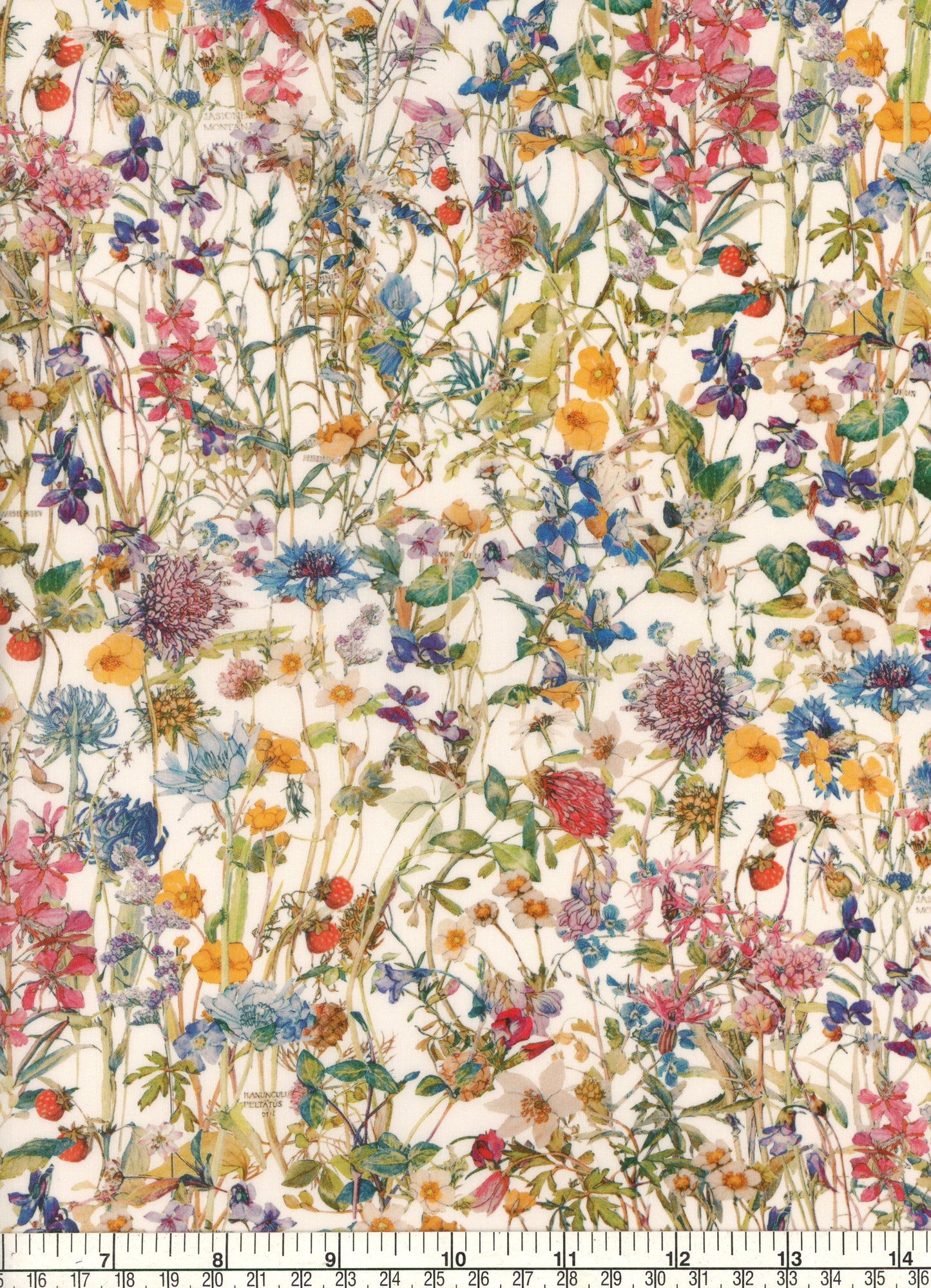 Wild Flowers (H)