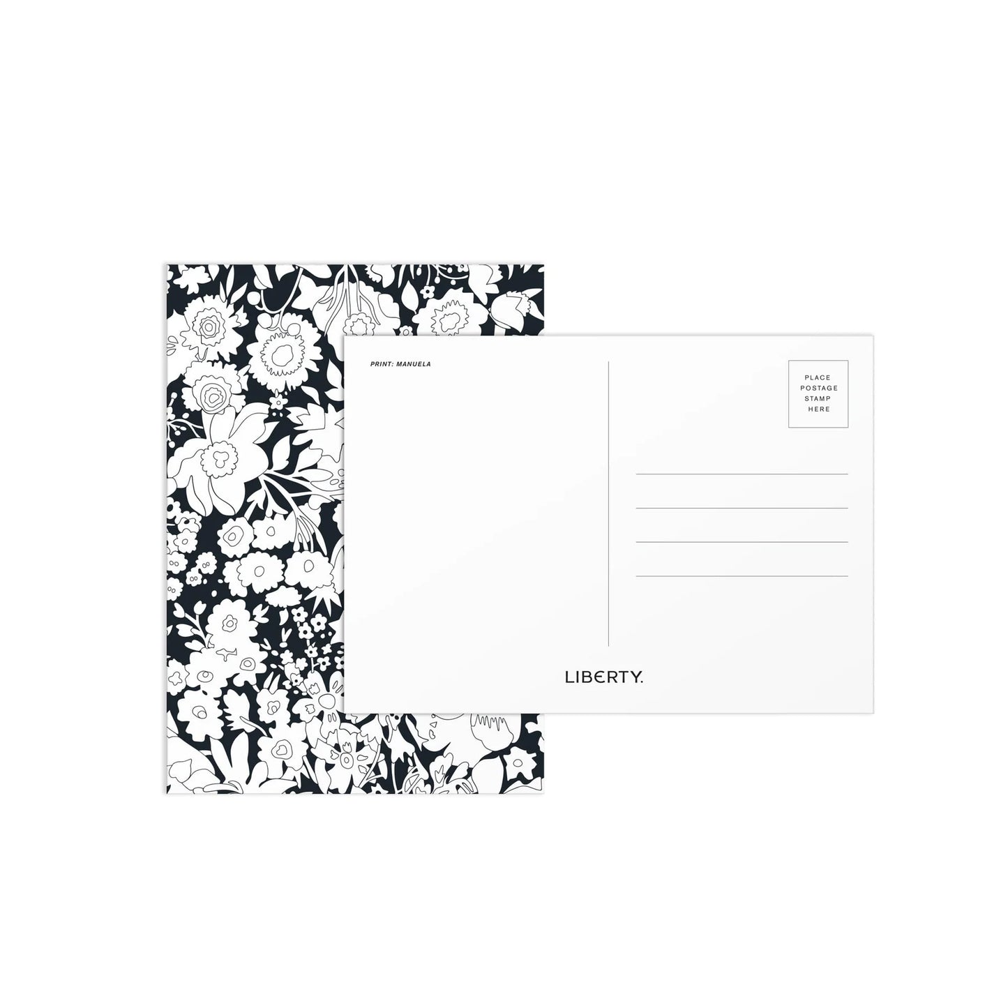 Liberty Paint in Print Set