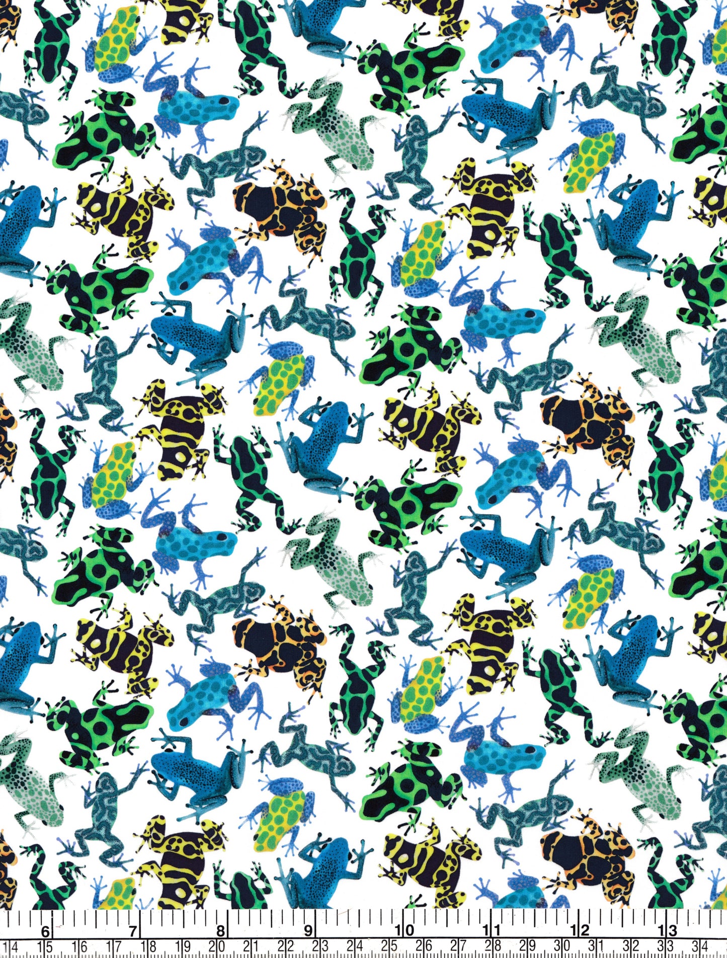 Dart Frogs (B)