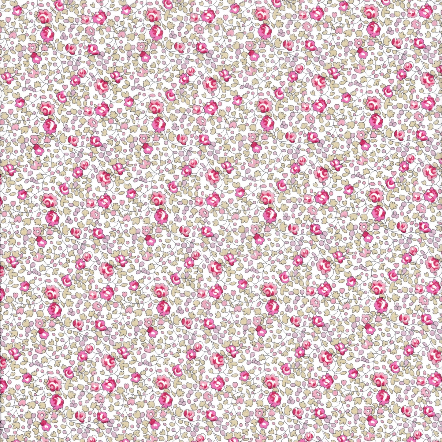 Eloise (C) Special Printing