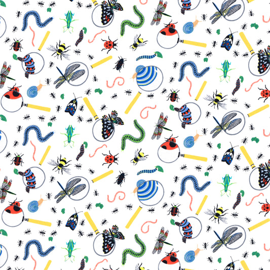 Eye Spy (A)