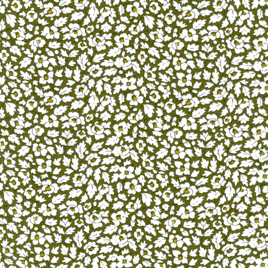 Feather Meadow (B)
