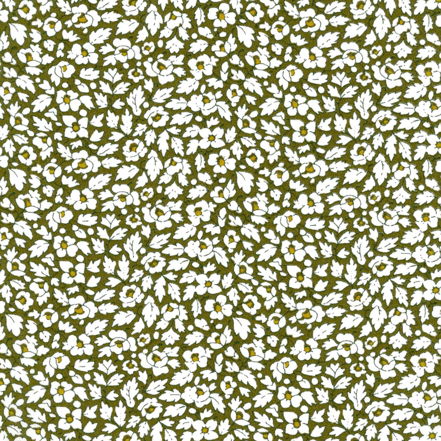 Feather Meadow (B)