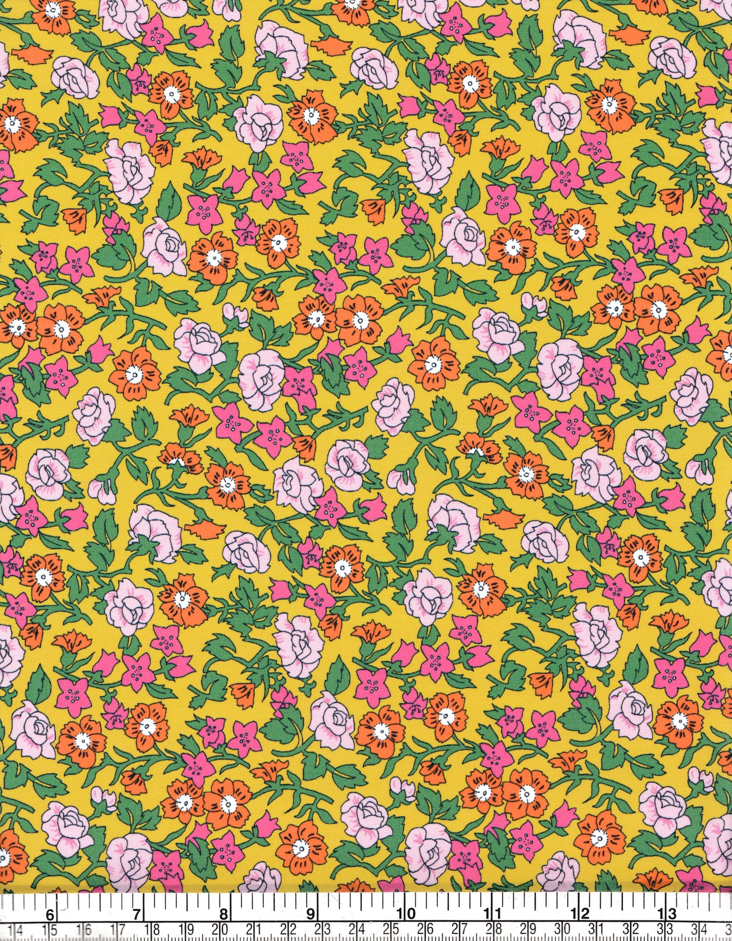Organic Pipkin Meadow (B)