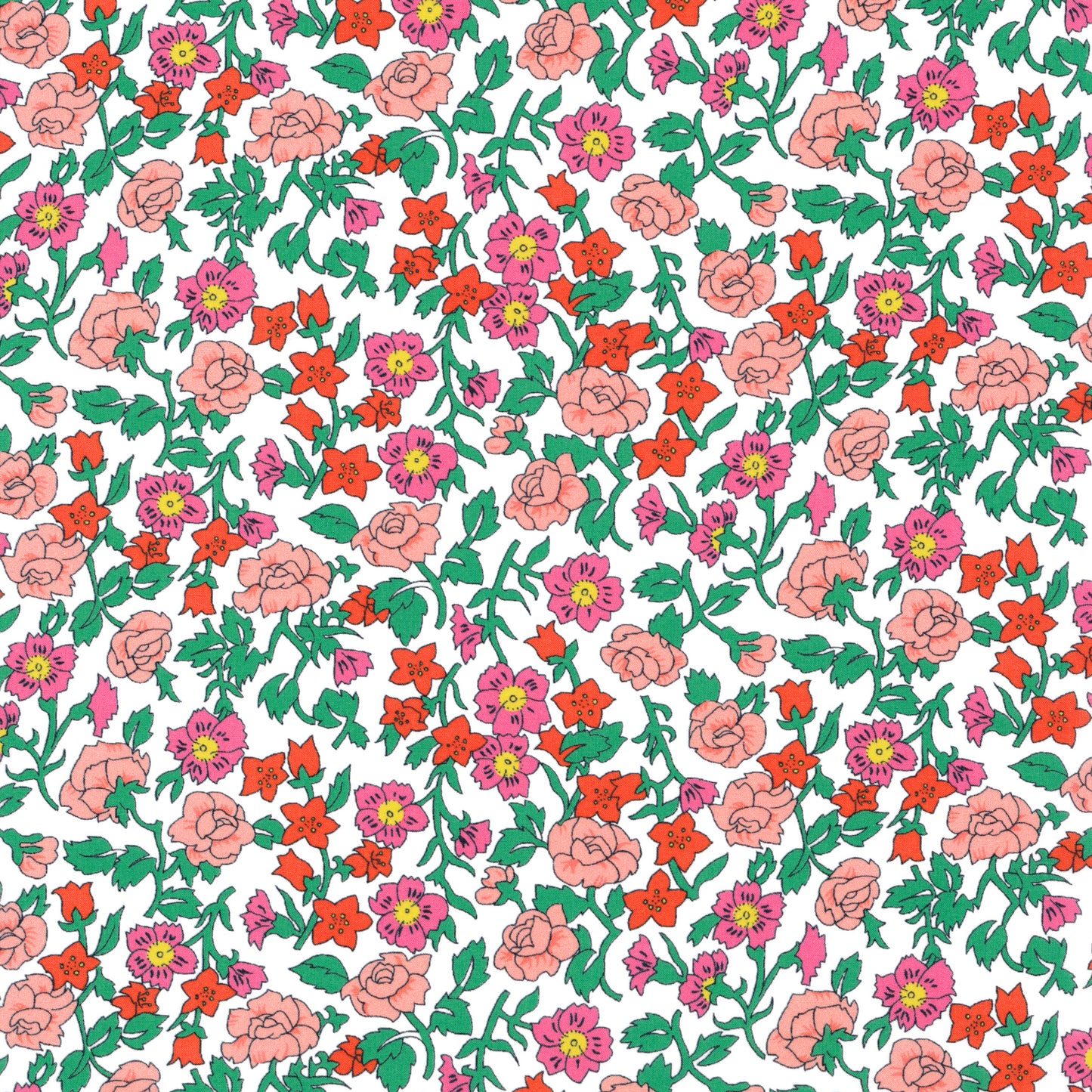 Organic Pipkin Meadow (D)