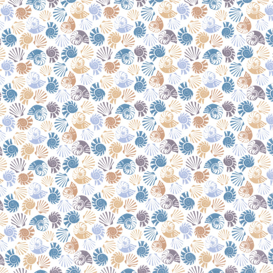 She Sells Sea Shells (A)