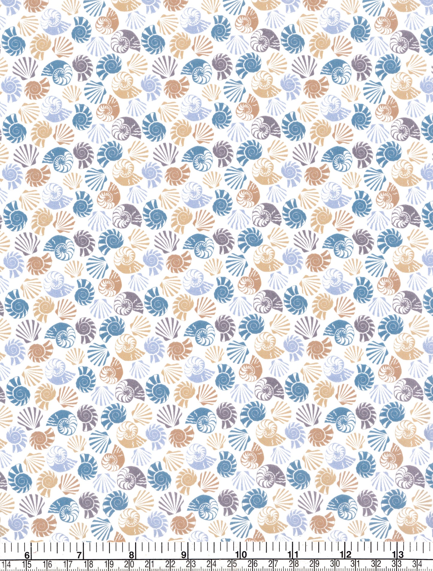 She Sells Sea Shells (A)